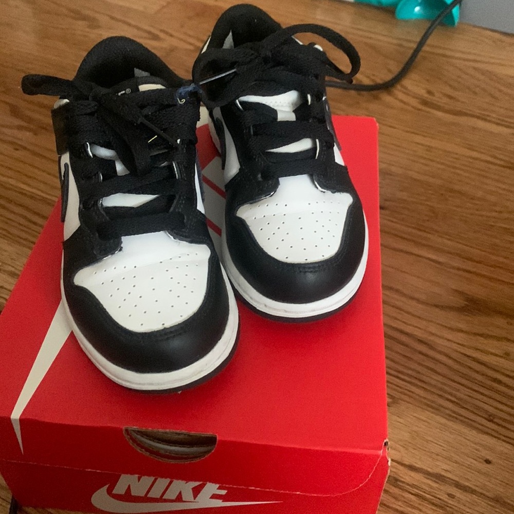 Preschool panda dunks